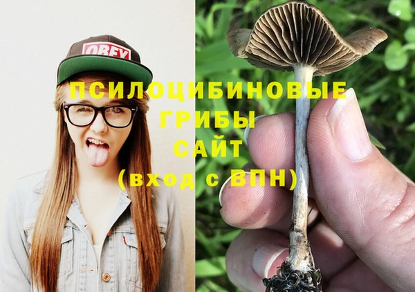 дурь Аркадак