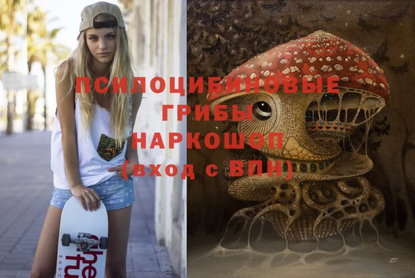 дживик Новокубанск